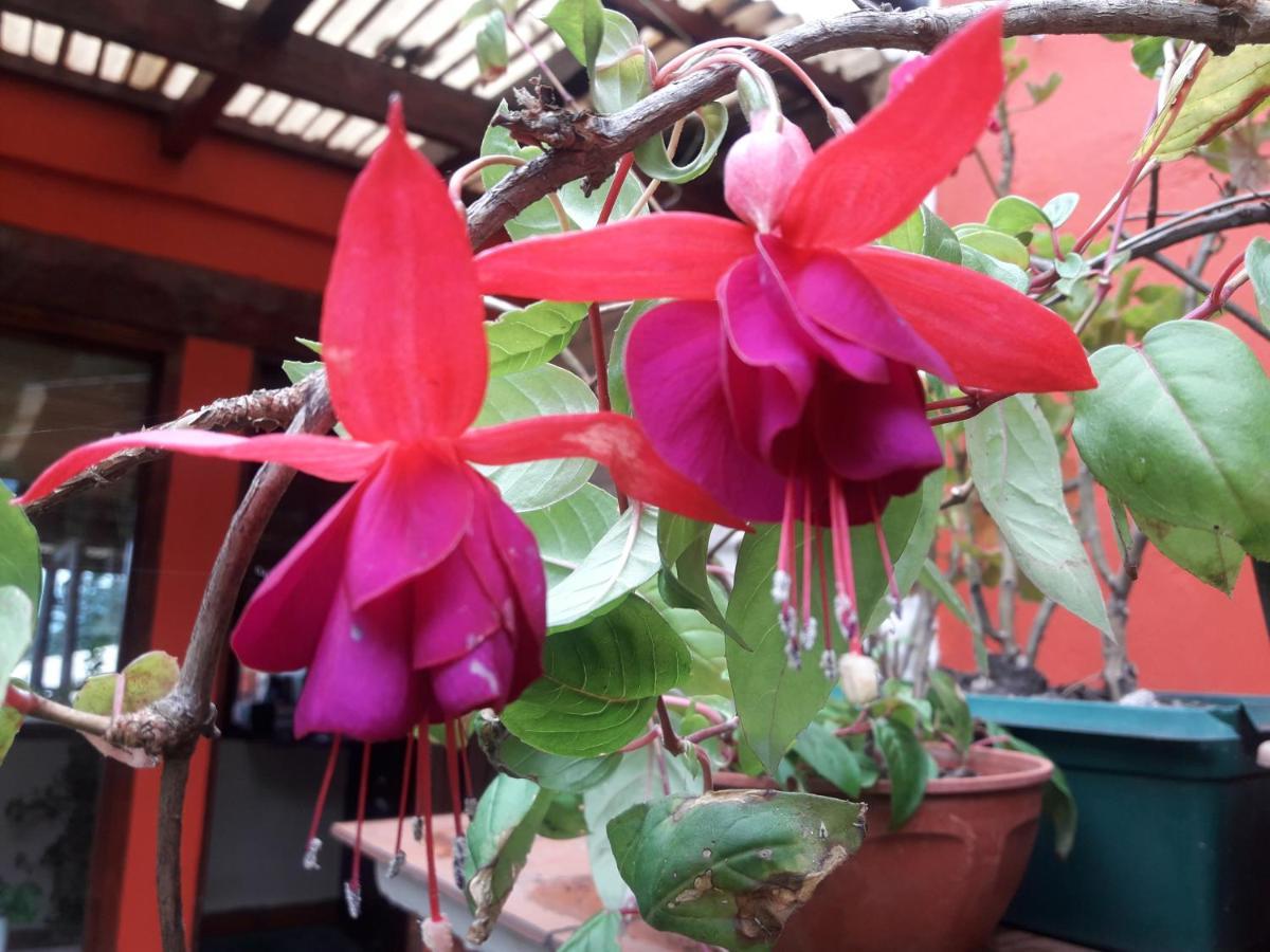 Posada La Sonada Tafí del Valle Esterno foto